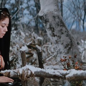 Bilder The Wandering Princess