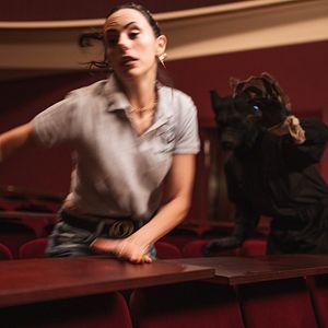 Bilder Der Wolf und die 7 Geißlein