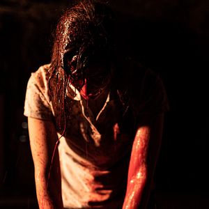 Bilder Der Wolf und die 7 Geißlein