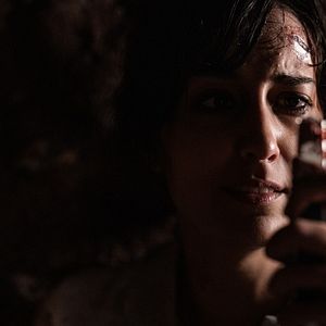 Bilder Der Wolf und die 7 Geißlein