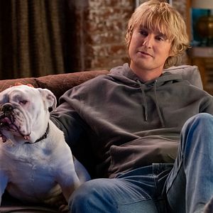 Bilder Owen Wilson