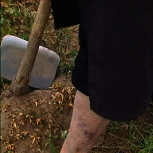 Bilder Striking Land