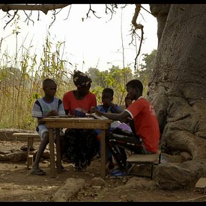 Bilder Der Waldmacher