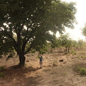 Bilder Der Waldmacher