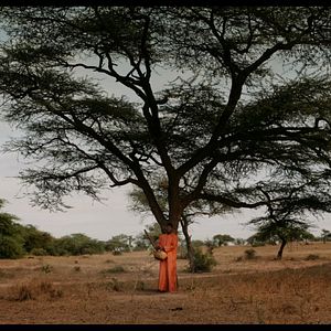 Bilder Der Waldmacher