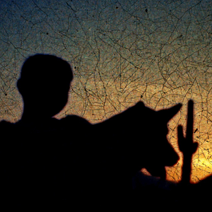 Bilder American Journal