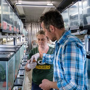 Bilder Willi und die Wunderkröte