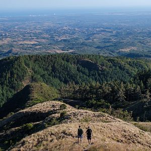 Bilder Willi und die Wunderkröte
