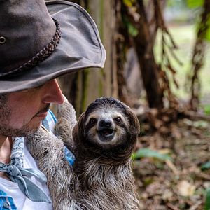 Bilder Willi und die Wunderkröte