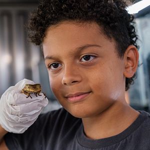 Bilder Willi und die Wunderkröte