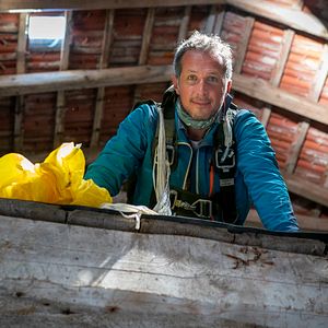 Bilder Willi und die Wunderkröte