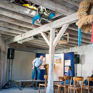 Bilder Willi und die Wunderkröte