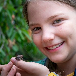 Bilder Willi und die Wunderkröte