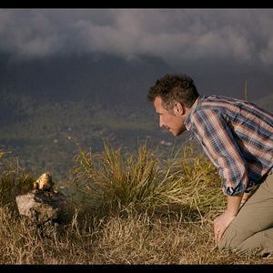 Bilder Willi und die Wunderkröte