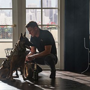 Bilder Dog - Das Glück hat vier Pfoten