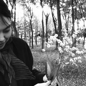 Bilder Die Schriftstellerin, ihr Film und ein glücklicher Zufall