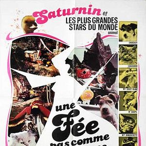 Bilder Die unsichtbare Fee