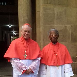 Bilder Hermanoteu na Terra de Godah