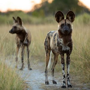 Bilder Überleben im Paradies: Eine Familiengeschichte