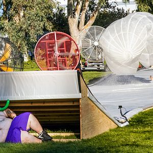 Bilder Jackass Forever