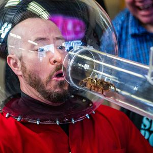 Bilder Jackass Forever