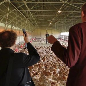 Bilder Christophe Salengro