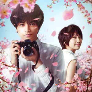 Bilder Love Like The Falling Petals