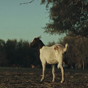 Bilder The Dark And The Wicked