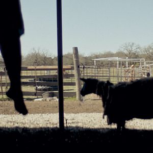 Bilder The Dark And The Wicked