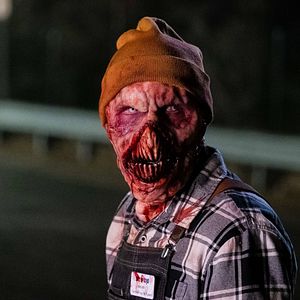 Bilder Black Friday - Überlebenschance stark reduziert!