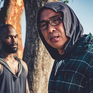 Bilder The Paper Tigers