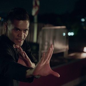 Bilder The Paper Tigers