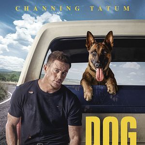 Bilder Dog - Das Glück hat vier Pfoten