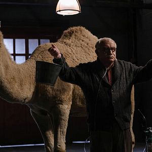 Bilder The Blacklist