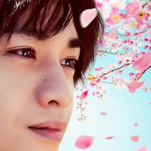 Bilder Love Like The Falling Petals