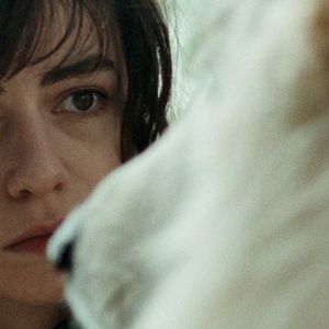 Bilder Alba Gaia Bellugi