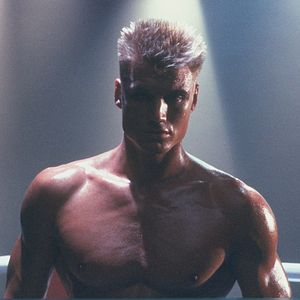Bilder Dolph Lundgren