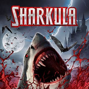 Bilder Sharkula