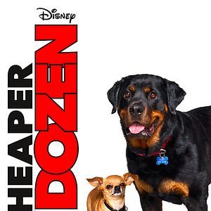 Bilder Im Dutzend noch billiger