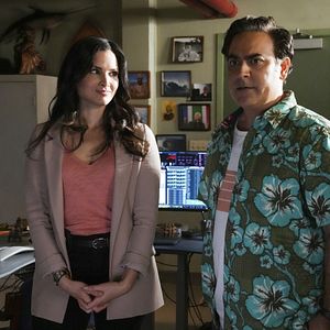 Bilder Navy CIS: Hawaii