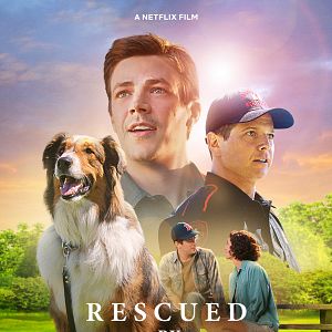 Bilder Rettungshund Ruby