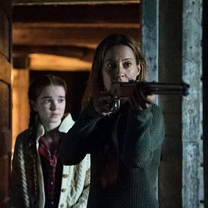 Bilder Hunter Hunter