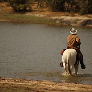 Bilder No Man's Land - Crossing the Line