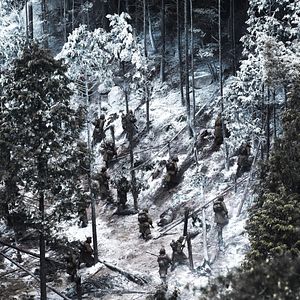 Bilder The Tiger - Legende einer Jagd