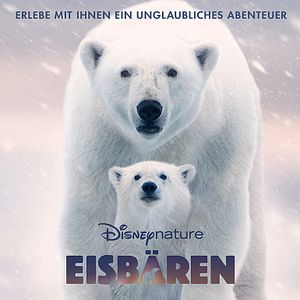 Bilder Eisbären