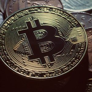 Bilder Vertraue niemandem: Die Jagd nach dem Kryptokönig