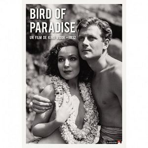 Bilder Bird of Paradise