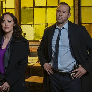 Bilder Marisa Ramirez