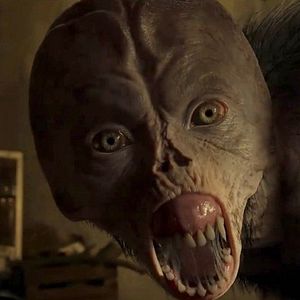 Bilder Cracow Monsters