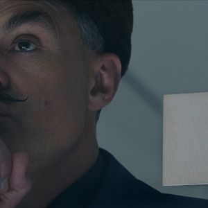 Bilder Neil Mullarkey